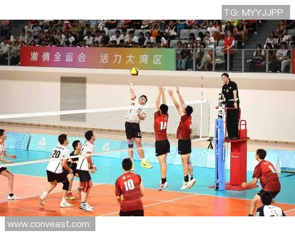 广州排球队的节奏与激情探讨聚焦排球运动的未来发展与挑战